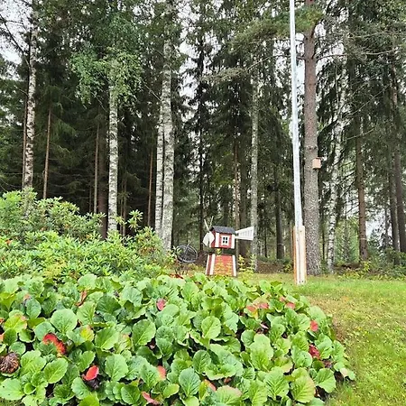 House With2 Bedroom, Bath, Sauna, And Big Yard